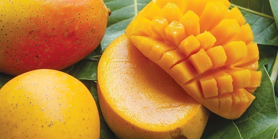 Mango