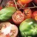 Il pomodoro: l’ortaggio più amato