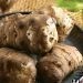 Il topinambur: l’alternativa leggera alle patate