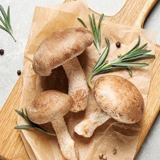 Funghi freschi